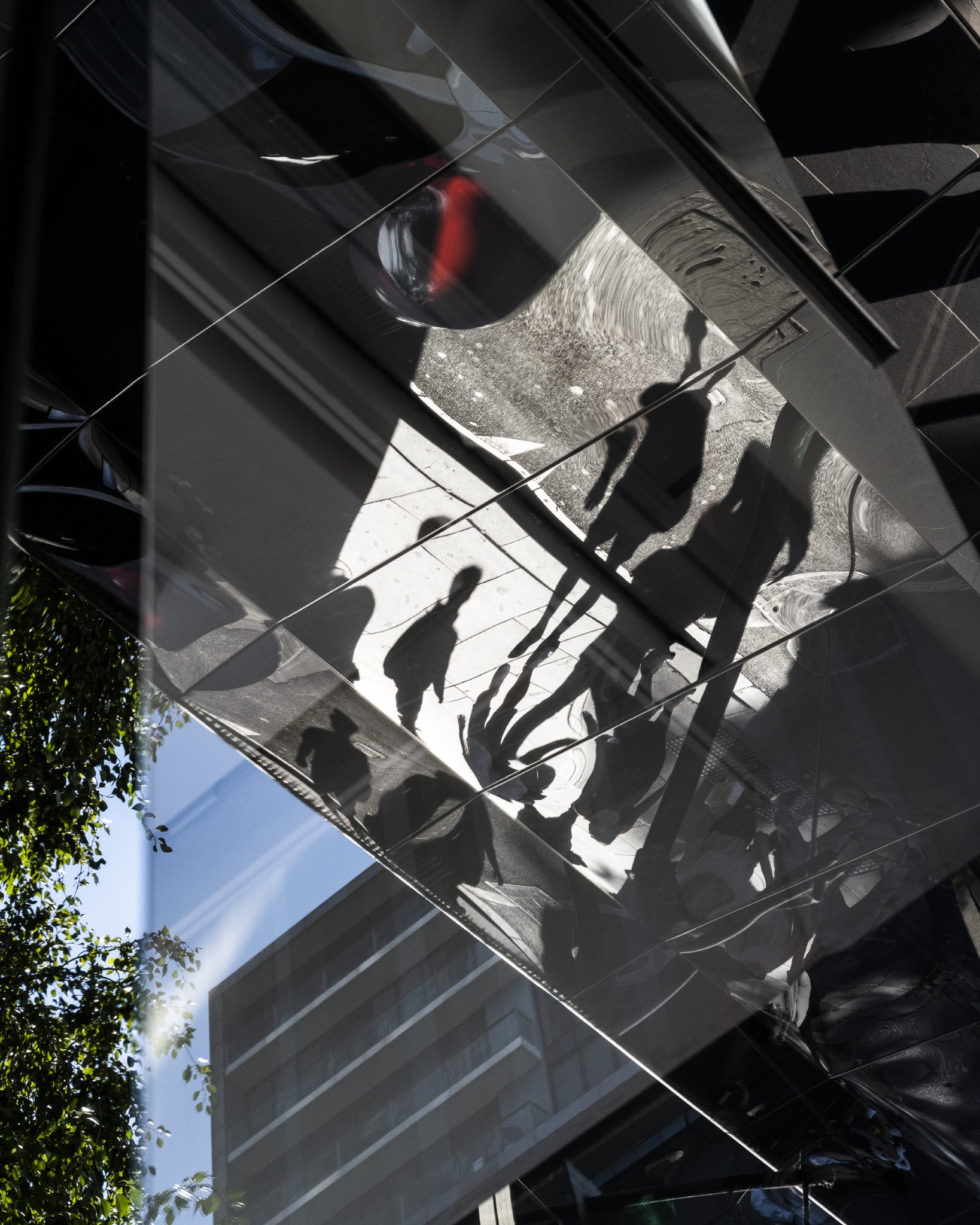 Sequence 07 photograph 07